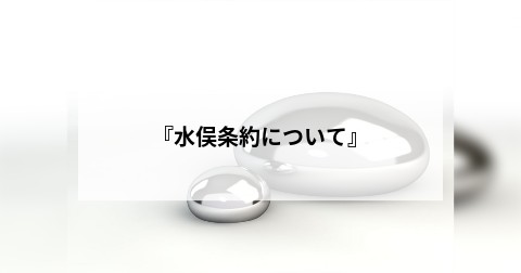 『水俣条約について』